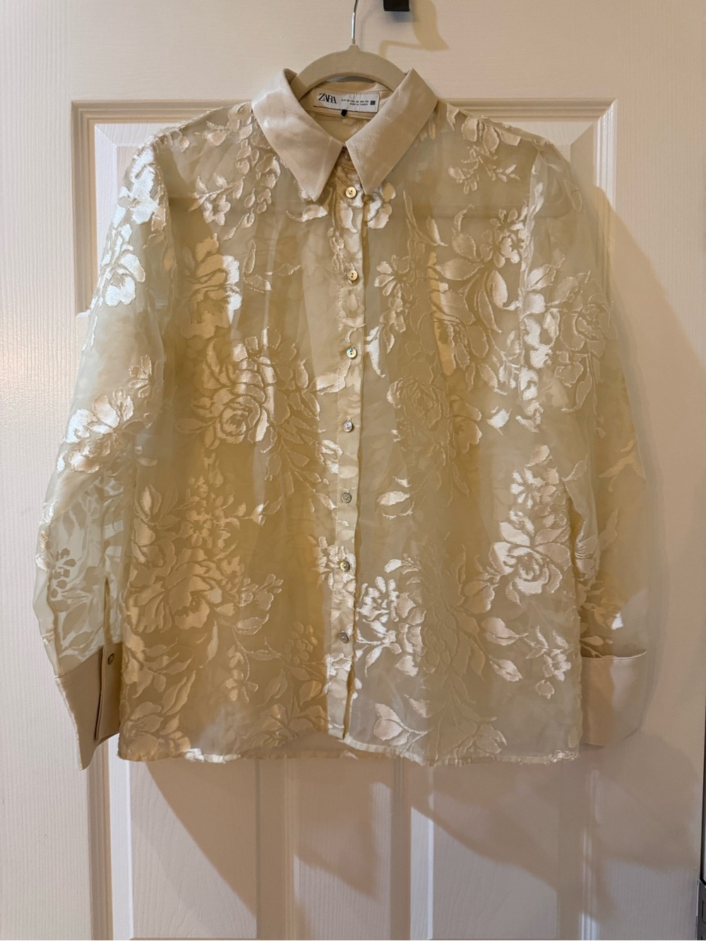 Zara Sheer Floral Jacquard Button-Up Blouse in Ivory